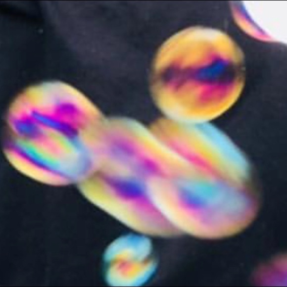 Meet your Posher, Cassidy - Picture 1 of 1